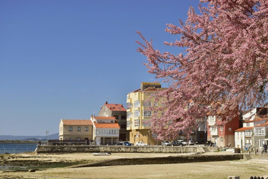 A Esmorga-Posada Del Mar Вильягарсия-де-Ароса Экстерьер фото